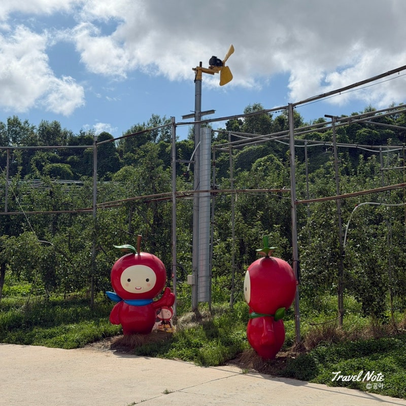 예산 가볼만한곳｜은성농원 무료 와이너리 투어 & 사과농장 후기