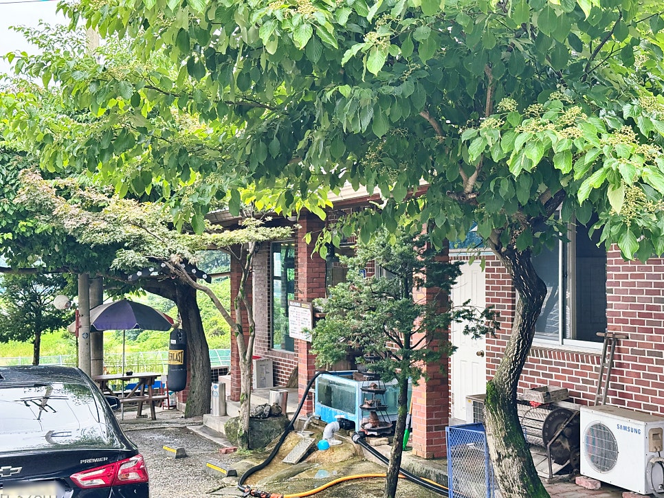 개건너이사왔네 사진 2