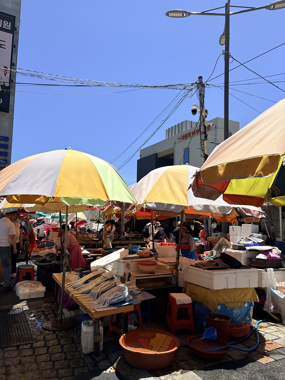 수정횟집 사진 3