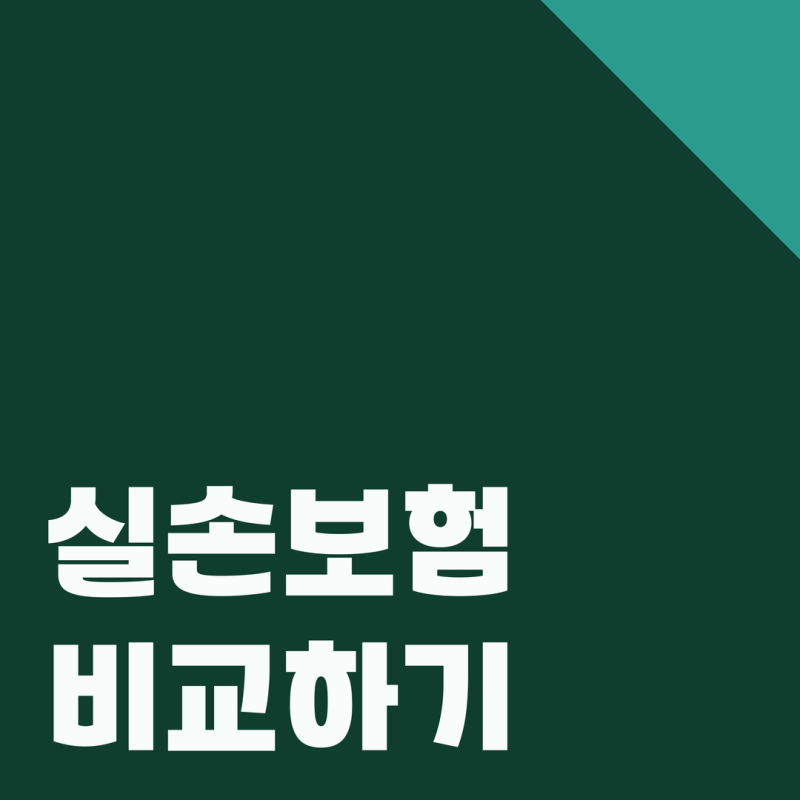 의료실손보험이란 추천 비교 청구서류 든든한 선택하기 위해 제대로 비교하자