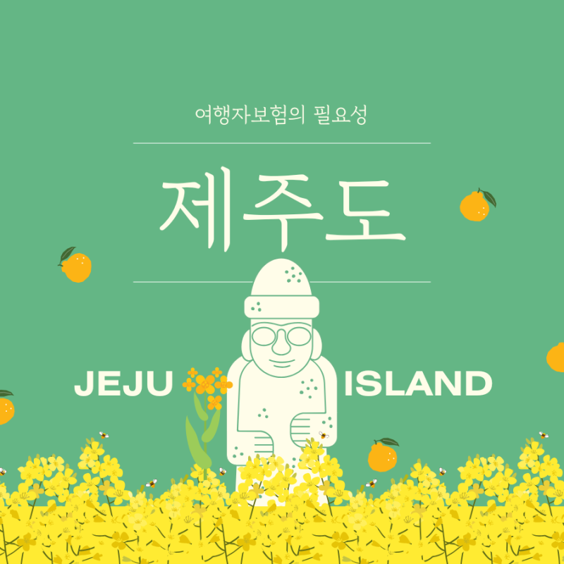 제주도 여행자 보험비 아끼려다, 수리비와 치료비로 곤란한 일이 생길 수 있다.