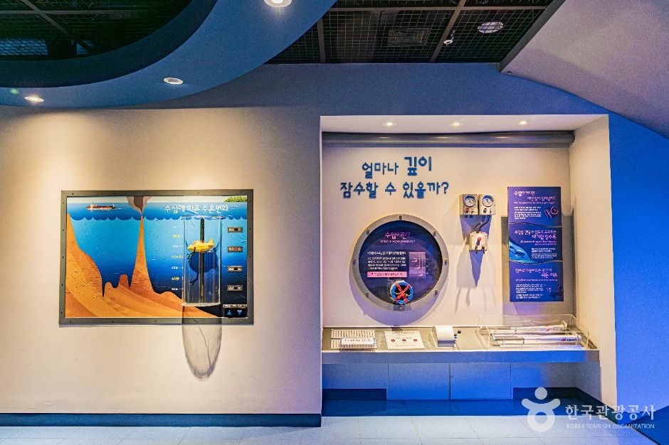 목포어린이바다과학관 사진 4