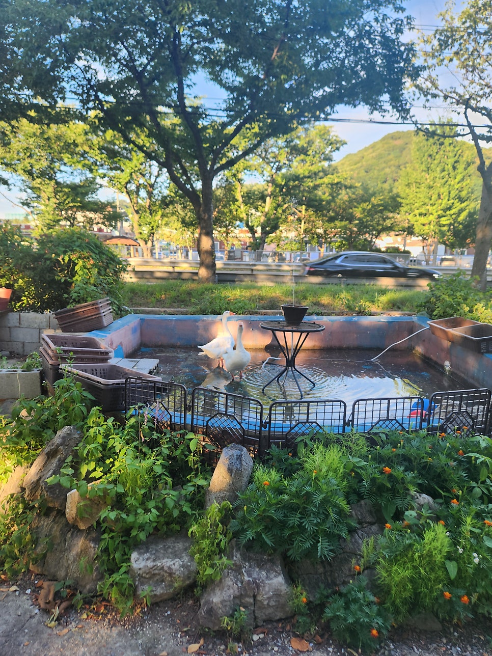오롯이담다 사진 4