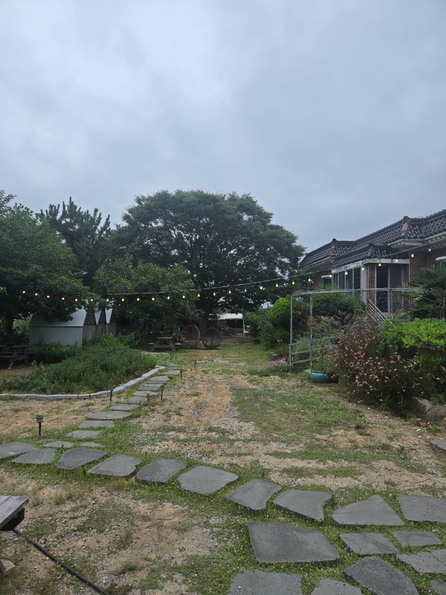 하이든 대동 사진 3