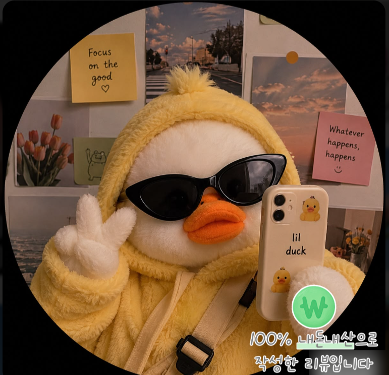 시드니 여행 준비 1탄 :) 여행자보험 가입하기 l KB·카카오·현대해상 비교하고 2만원대로 저....