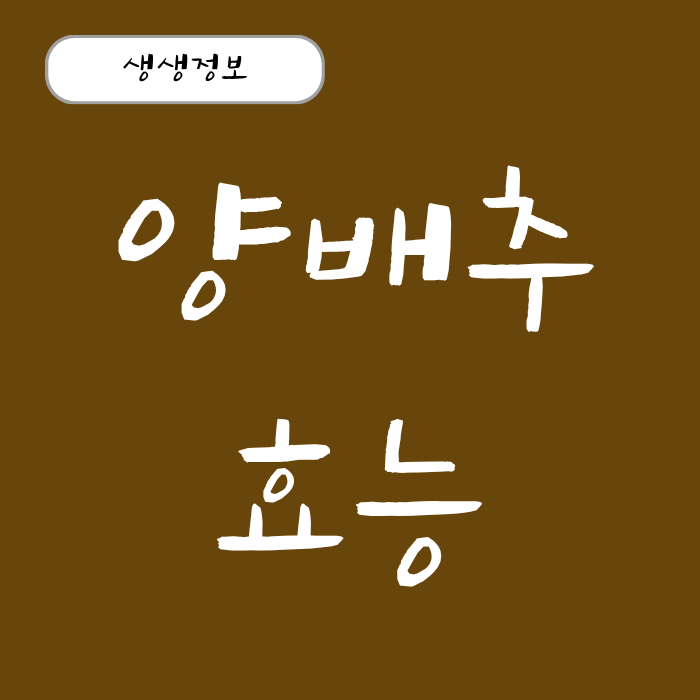 양배추 효능 양배추즙 먹는 방법 적양배추 효능 총정리