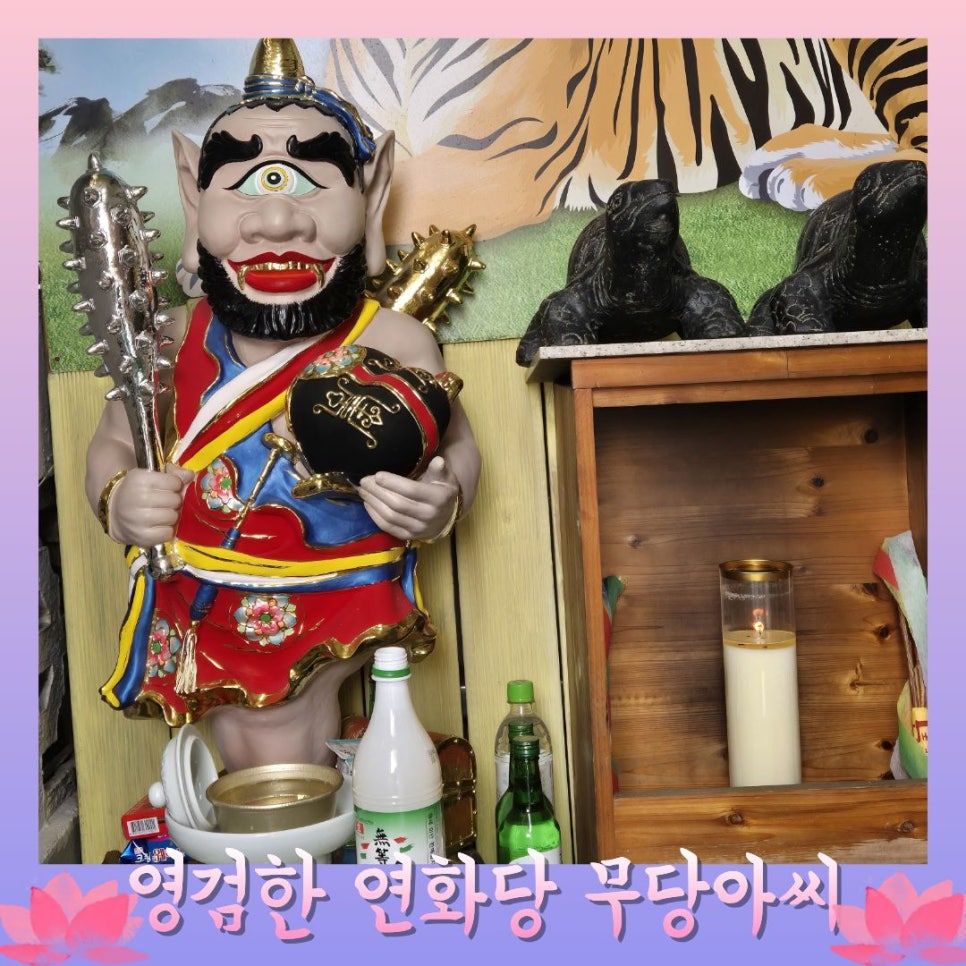 연화 사진 3