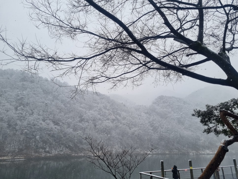 금강유원지 사진 3