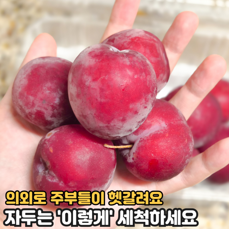 의외로 주부들이 헷갈리는 자두 세척법