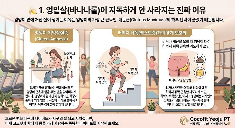 코코핏 사진 2