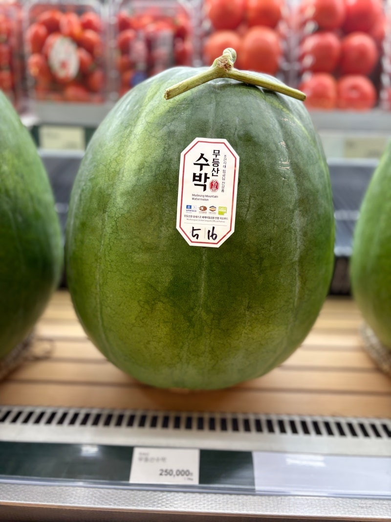 [무등산수박 가격] 효능·특징 총정리｜롯데백화점·신세계백화점 무등산수박 가격 알아보기