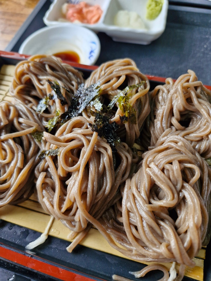 포항 메밀소바 맛집 추천｜솔밭메밀소바 직접 다녀온 솔직 후기