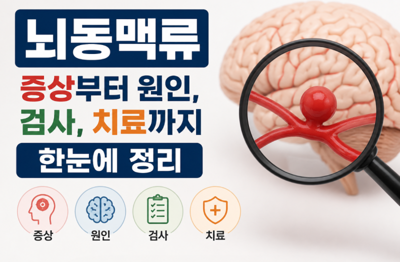 뇌동맥류 증상부터 원인, 검사, 치료까지 한눈에 정리
