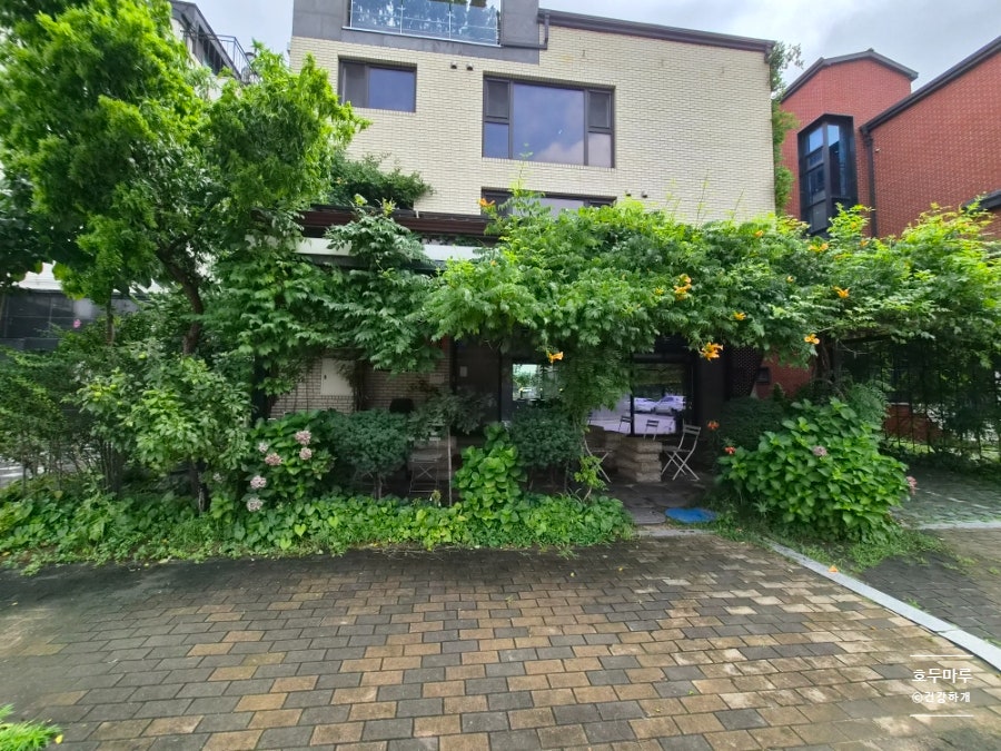코야드커피 사진 2