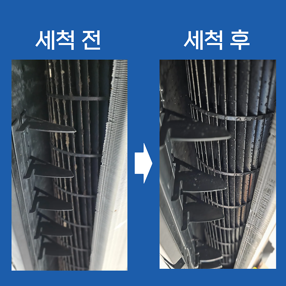 해야 사진 5