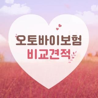 오토바이보험 비교견적 사이트별 할인 특약 및 나이별 가격 차이 제대로 보는 방법