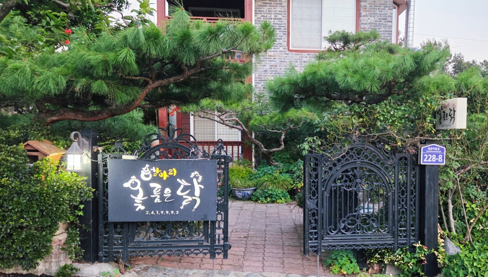 항아리옻품은닭 사진 1