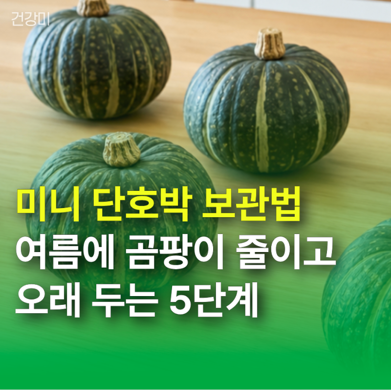 미니 단호박 보관법, 여름에 곰팡이 줄이고 오래 두는 5단계!