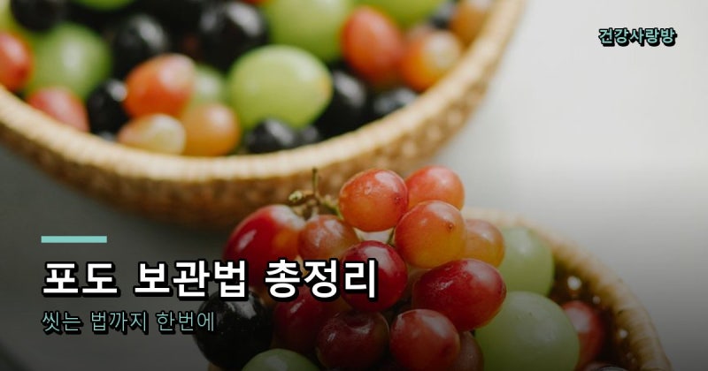 포도 보관법과 씻는 법 총정리, 베이킹소다 안 써도 되는 이유