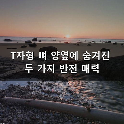 티본 스테이크 굽다 깨달은 안심과 등심 차이