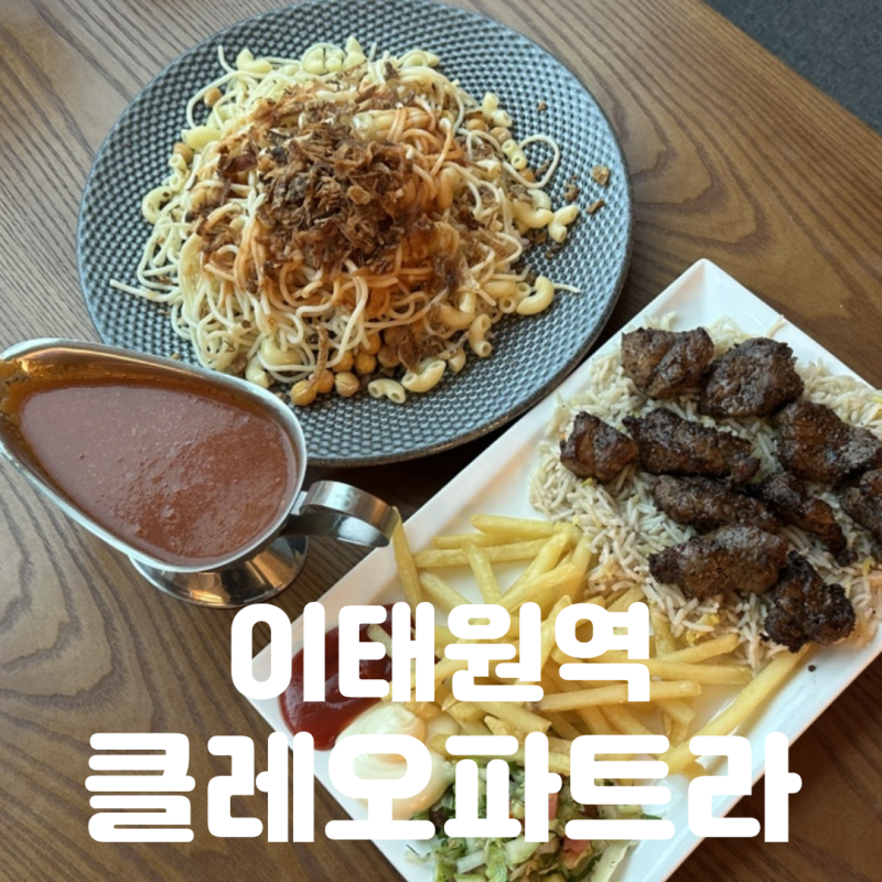 이태원역 맛집 | 카이로 현지 셰프가 털어주는 찐 중동 이집트 요리의 매운맛 [클레오파트라 ....