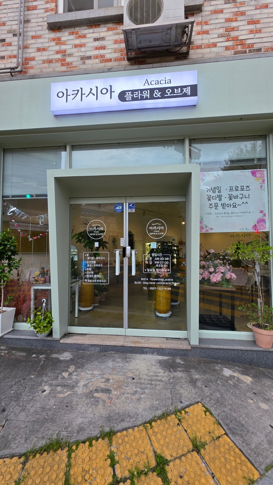 아카시아 사진 2
