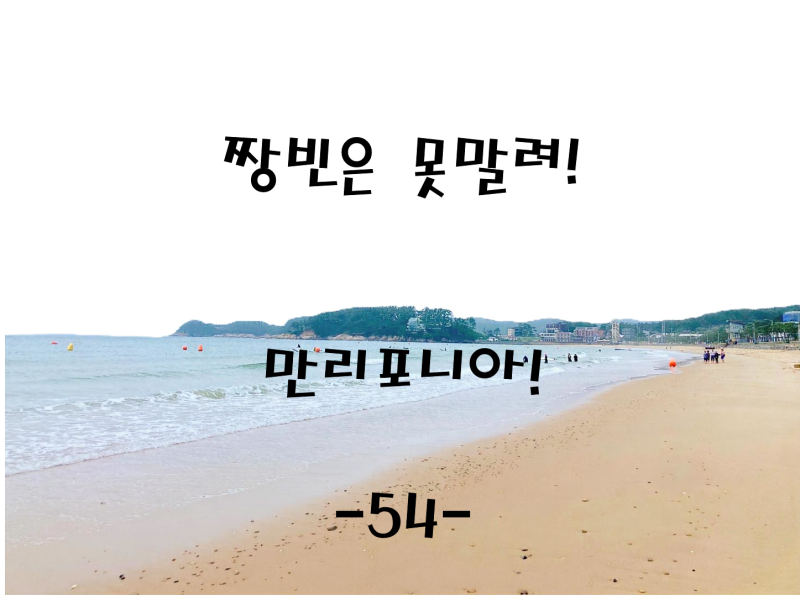 [만리포해수욕장] 태안여행 가볼만한곳 물놀이 요금부터 리포비치 바베큐 만리뷰 카페 야경....