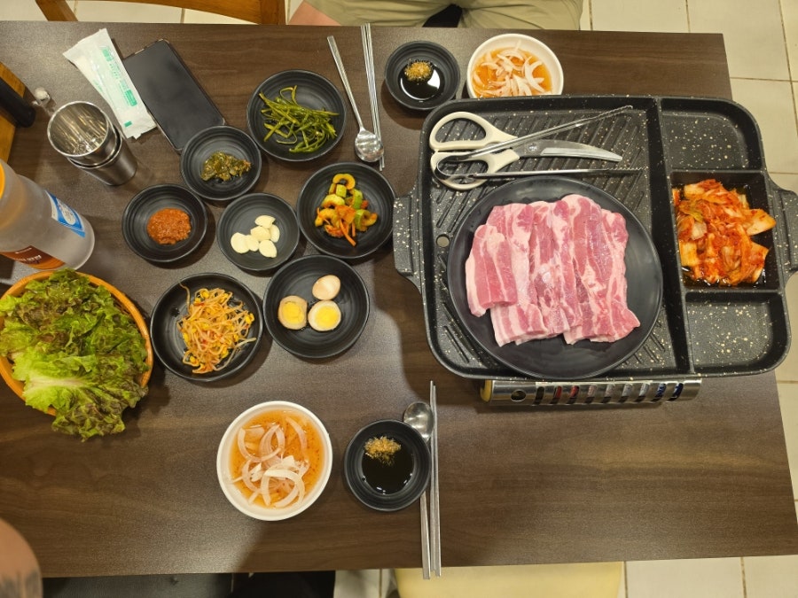 누나네담쟁이넝쿨 사진 5