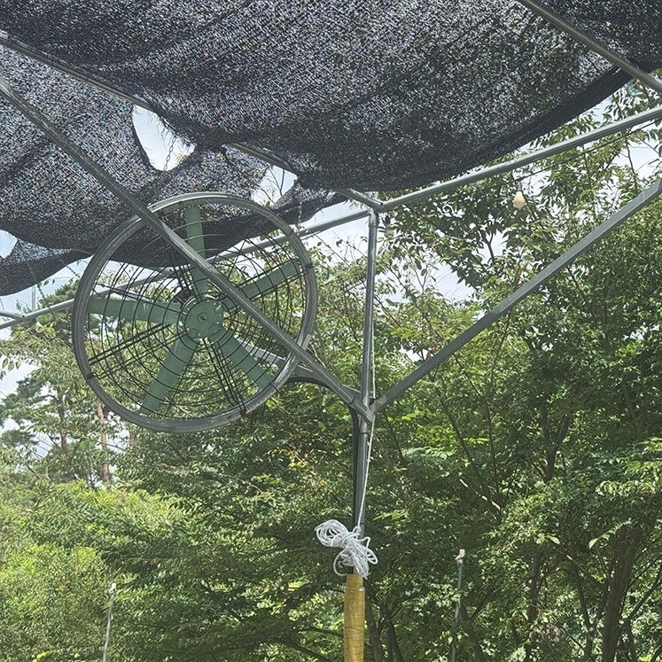금계캠핑장 사진 5