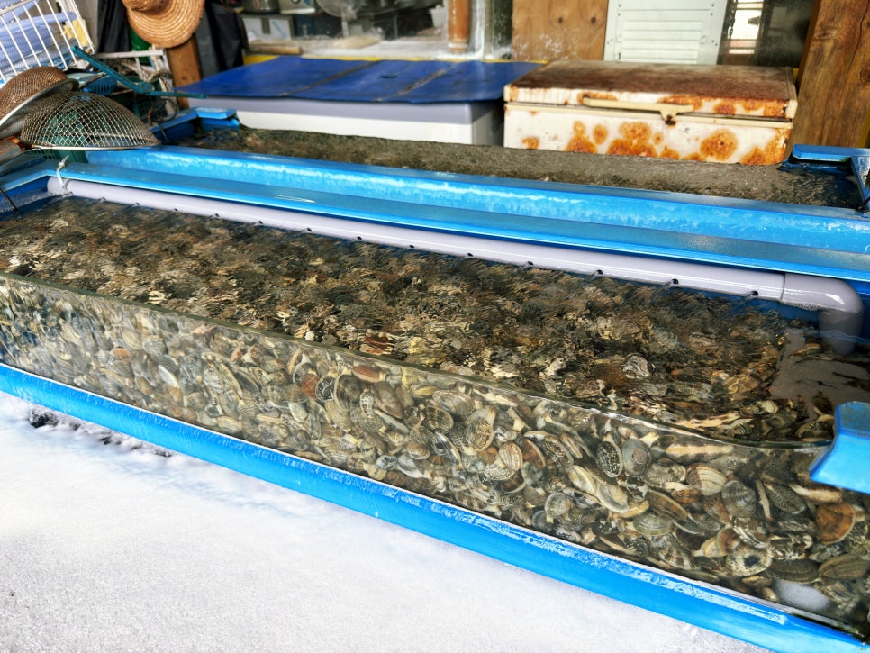오모리생바지락손칼국수 사진 4