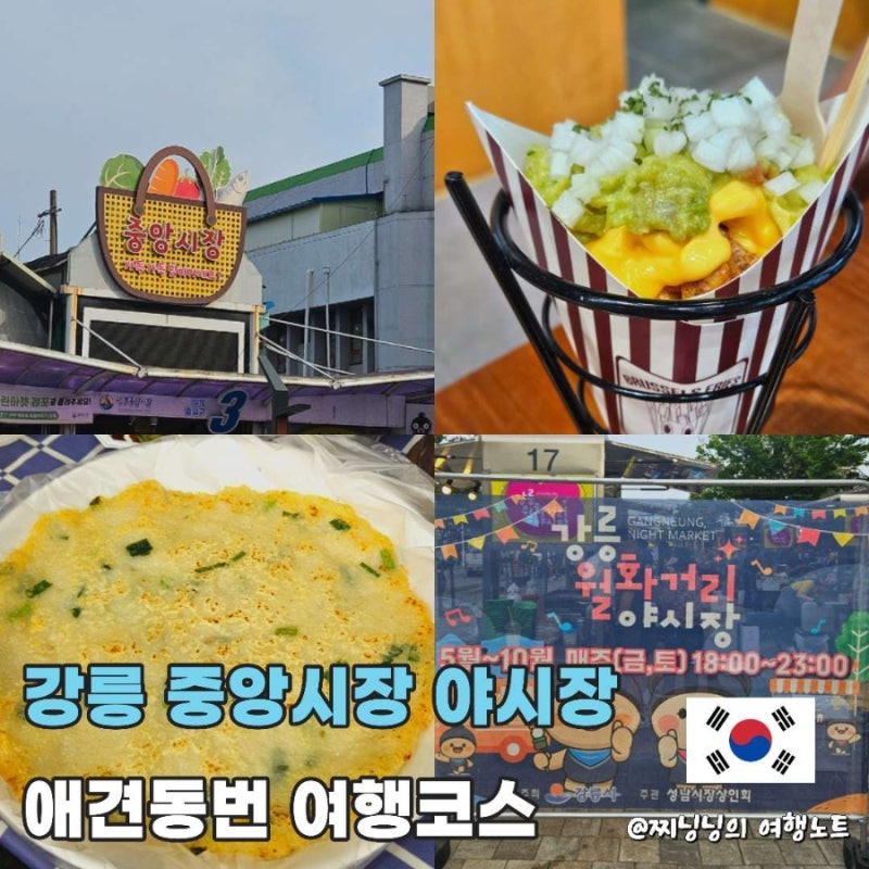 강릉 중앙시장 애견동반 여행코스 월화거리 야시장 추천