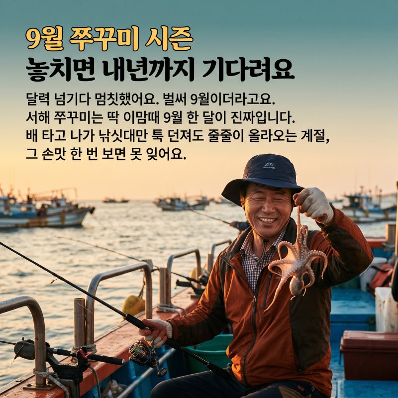 9월 쭈꾸미 시즌 놓치면 내년까지 기다려요