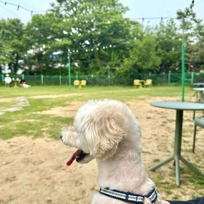 카페서울 사진 1