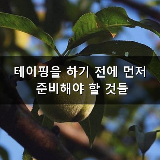 팔꿈치 엘보 테이핑 혼자서도 쉽게 통증 줄이는 방법