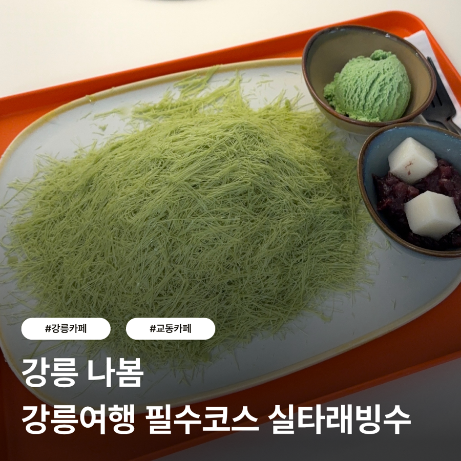 나봄 사진 1