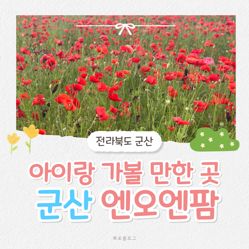 엔오엔팜 사진 1