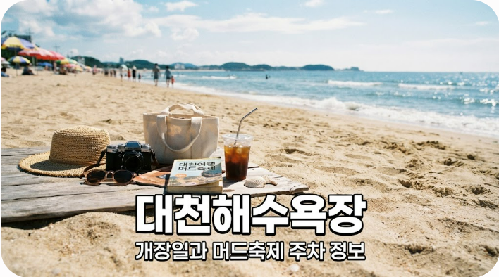[대천해수욕장 개장일과 머드축제 주차 정보]