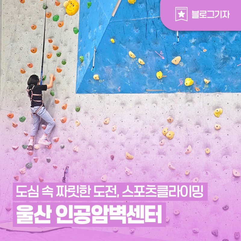 [블로그 기자] 울산 인공암벽센터 스포츠클라이밍 체험교실 도심 속 짜릿한 도전