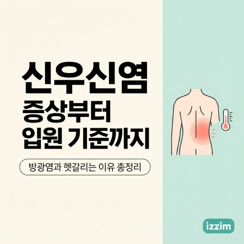 신우신염 증상부터 입원 기준까지, 방광염과 헷갈리는 이유 총정리