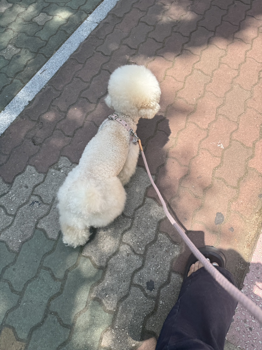 베이크마마 사진 4