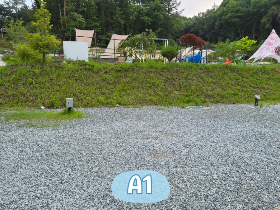 푸르른캠핑장 사진 3
