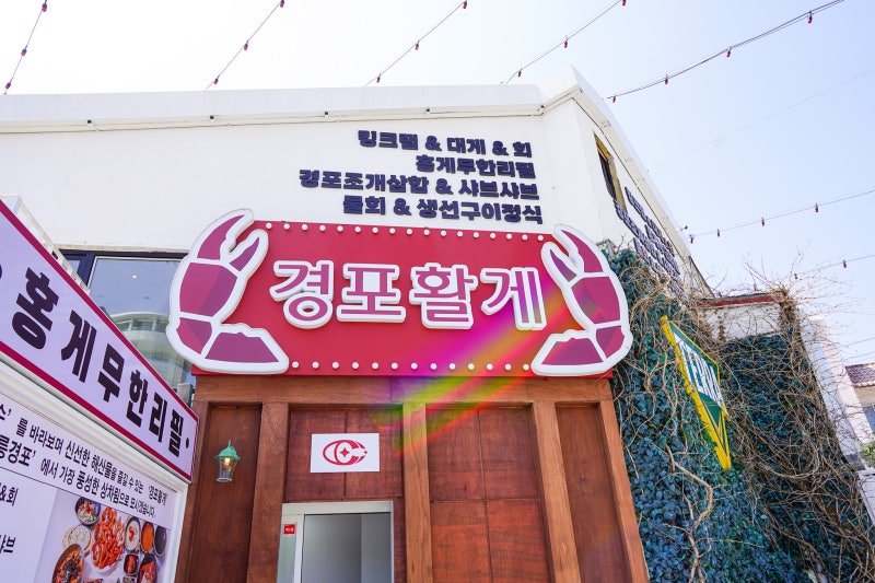 강릉 횟집 경포대 회포장 물회 홍게 무한리필 맛집