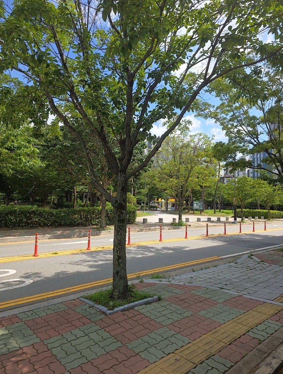 에스프레소이음 사진 3