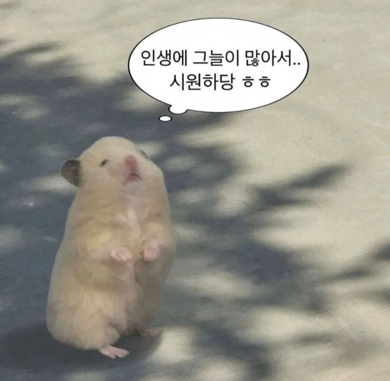 내가 우울에게로 간다.. (20대 30대 유방 초음파, 유방 조직검사 후기/유방암 의심 C4B 진단)