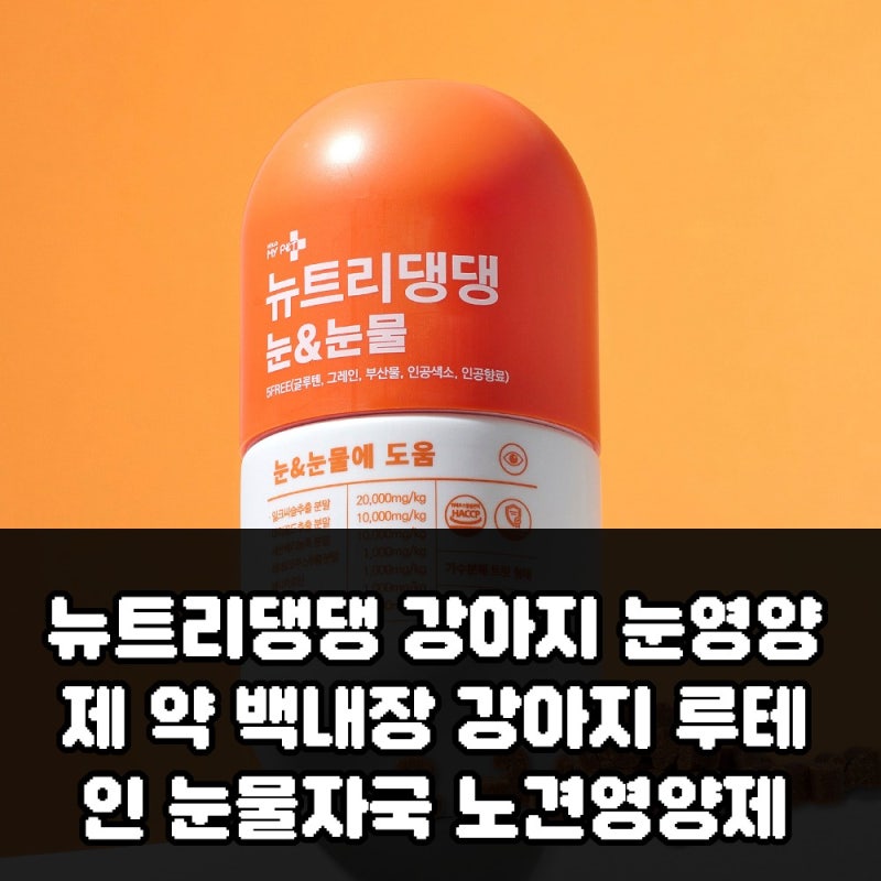 뉴트리댕댕 강아지 눈영양제 루테인 백내장 노견영양제 구매 전 확인할 점