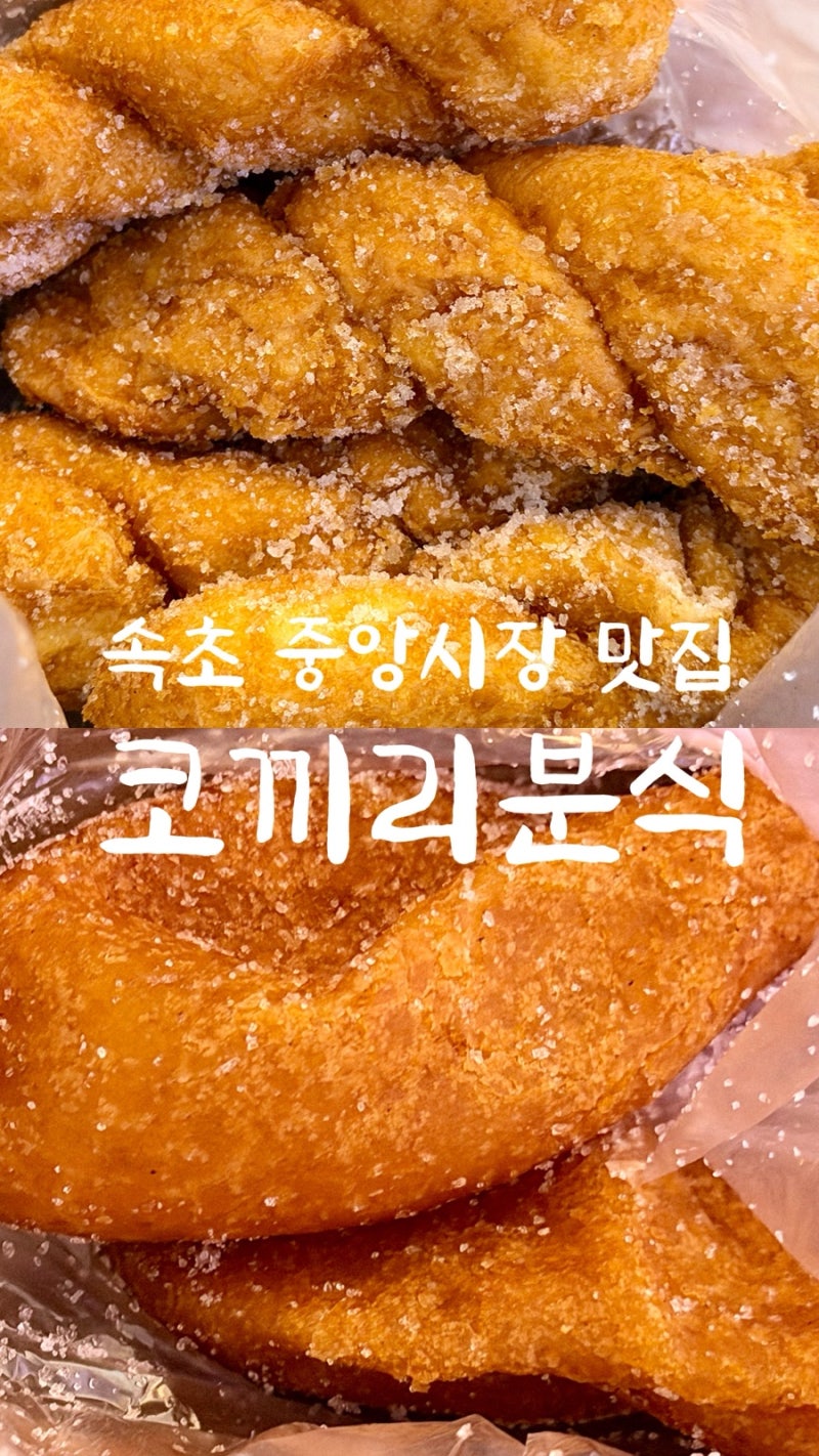 속초 중앙시장 코끼리분식 후기 꽈배기, 찹쌀도너츠 꼭 먹어봐야 하는 간식 맛집