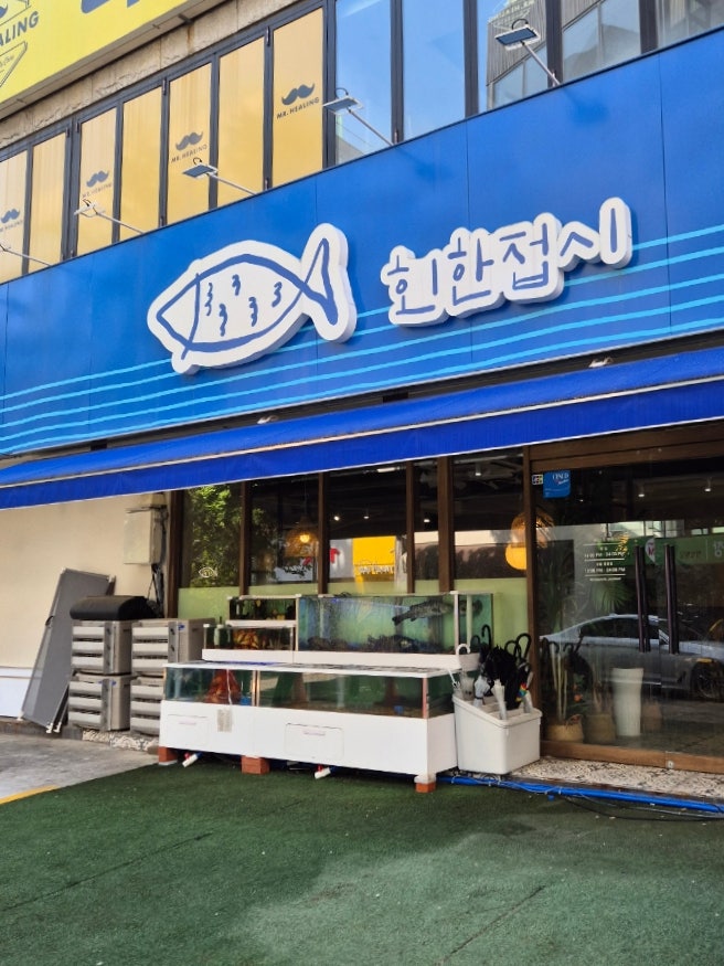 회한접시 사진 1