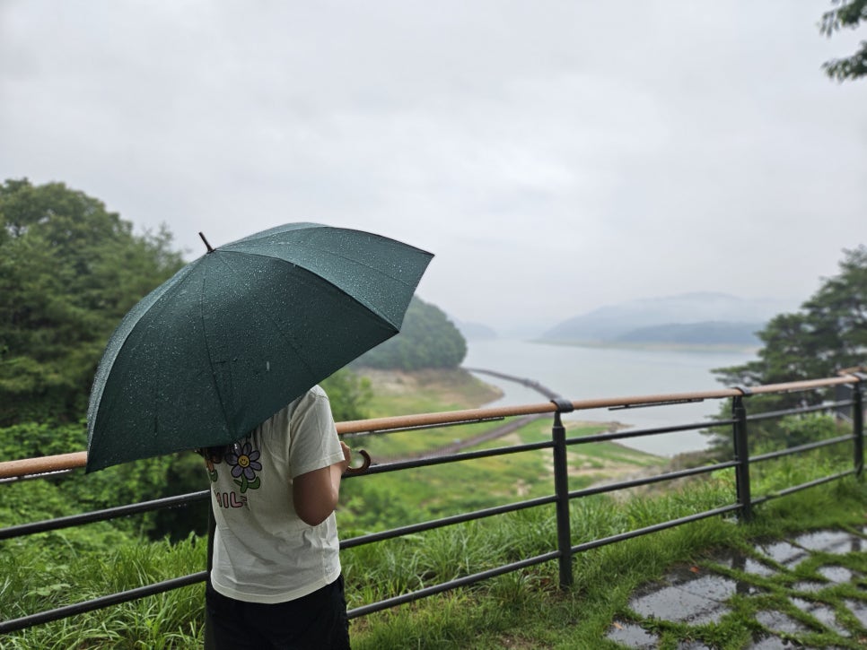 안동호 선성수상길 사진 3