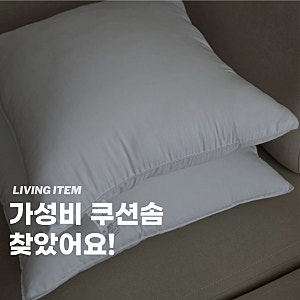 모던하우스 쿠션솜 메종드룸룸 비교후기