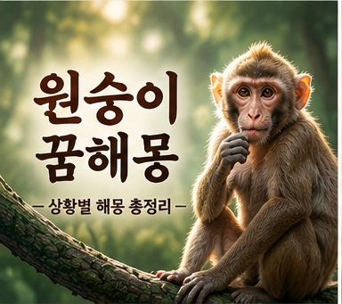 원숭이 꿈해몽 총정리｜원숭이에게 쫓기거나 안는 꿈의 의미